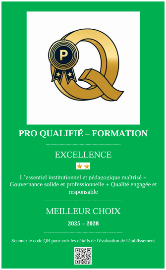Badge PRO QUALIFIÉ Excellence